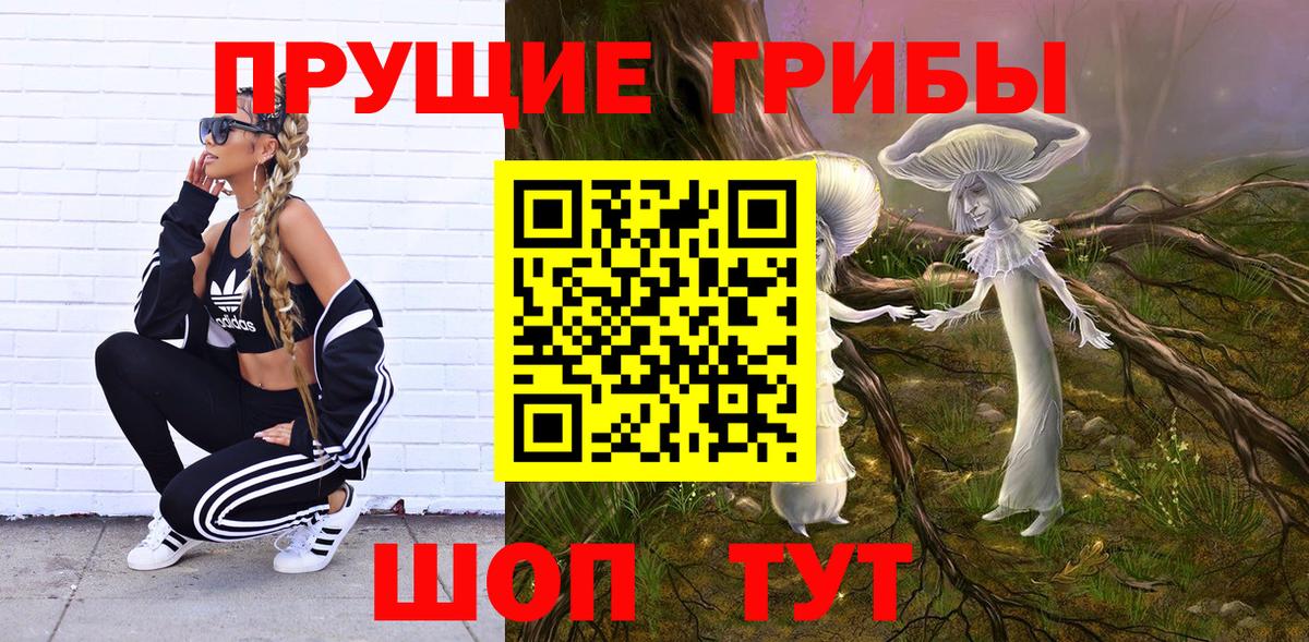 Псилоцибиновые грибы Psilocybe Коммунар